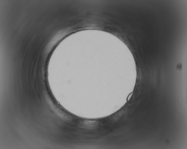 X0000115780055200912241819