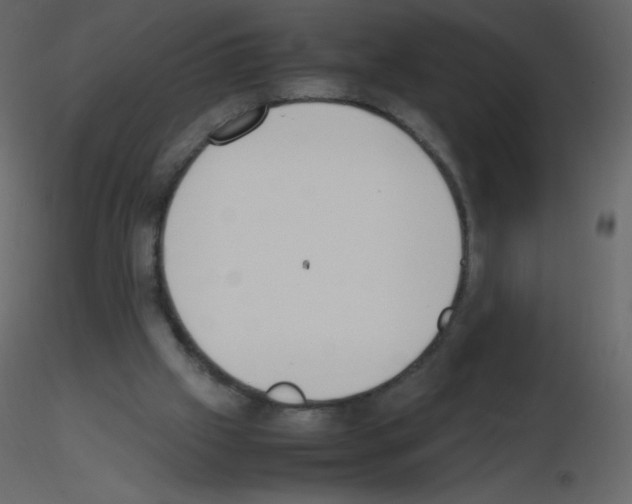 X0000115780057200912241819