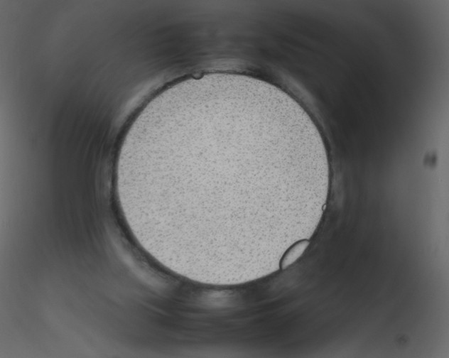 X0000115780059200912241819