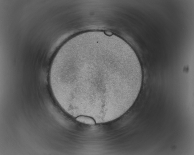 X0000115780060200912241819