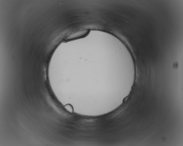 X0000115780061200912241819