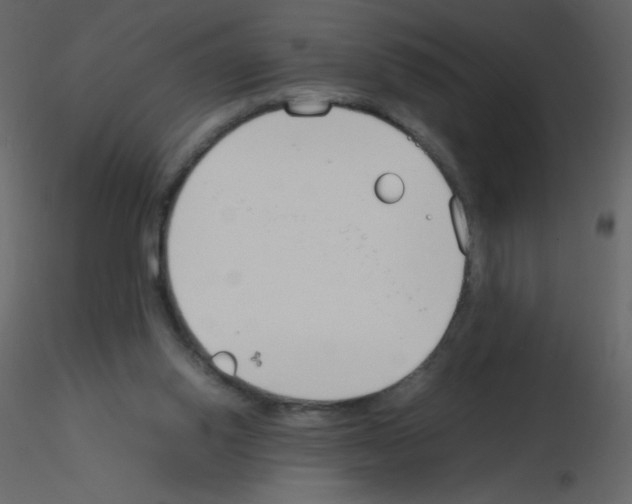 X0000115780062200912241819