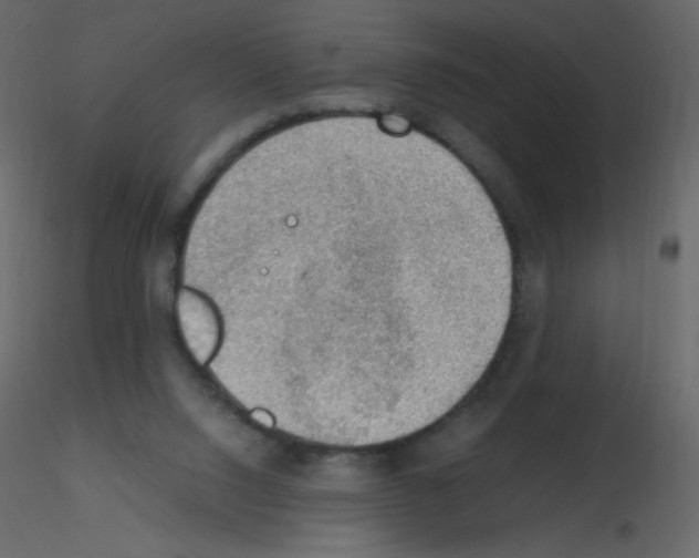 X0000115780064200912241819