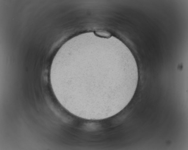 X0000115780067200912241819