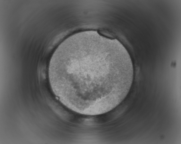 X0000115780068200912241819