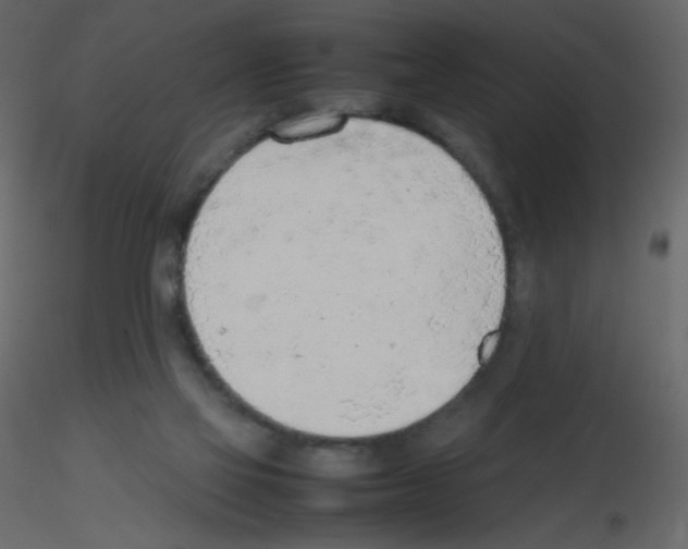 X0000115780069200912241819