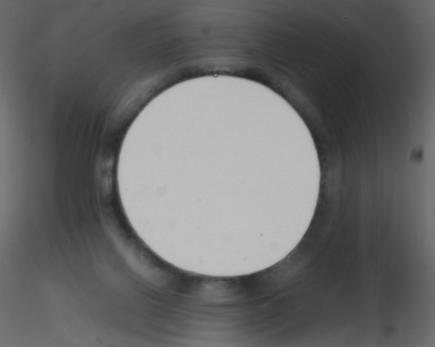 X0000115780070200912241819