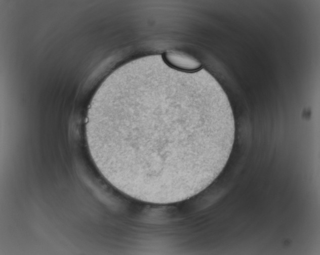 X0000115780072200912241819