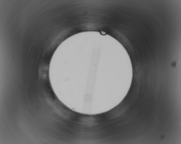 X0000115780075200912241819