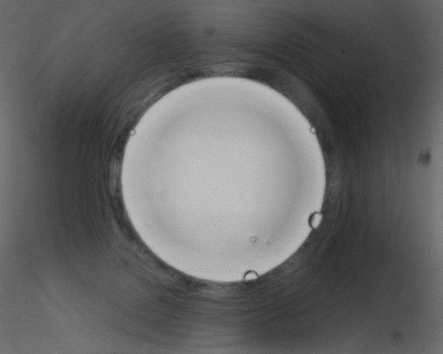 X0000115780076200912241819