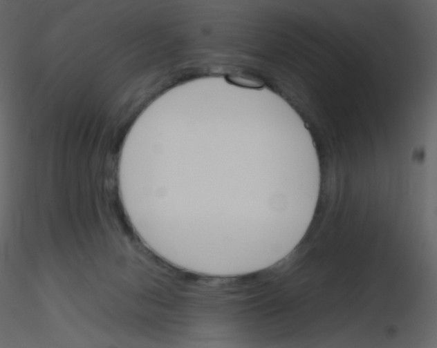 X0000115780078200912241819