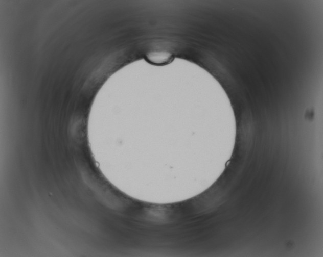 X0000115780079200912241819