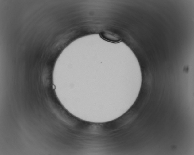 X0000115780080200912241819