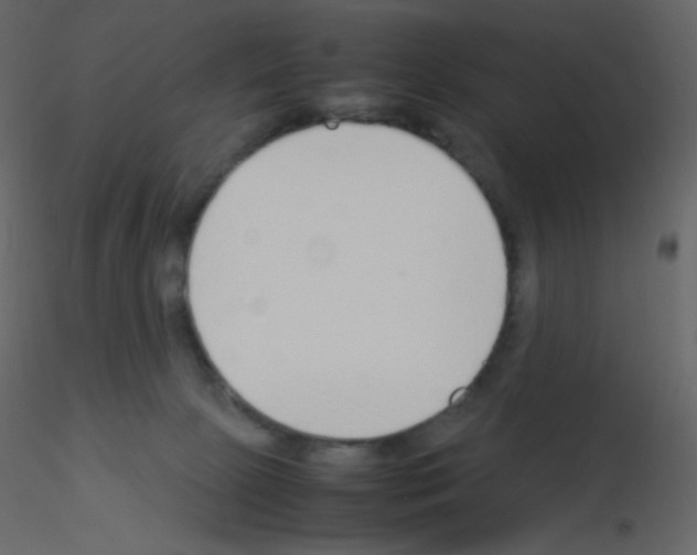 X0000115780081200912241819