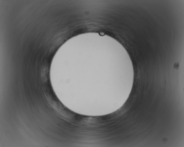 X0000115780082200912241819