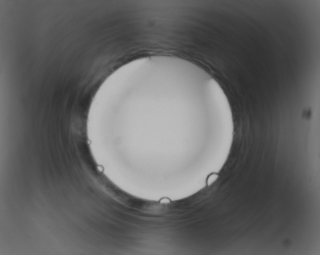 X0000115780084200912241819