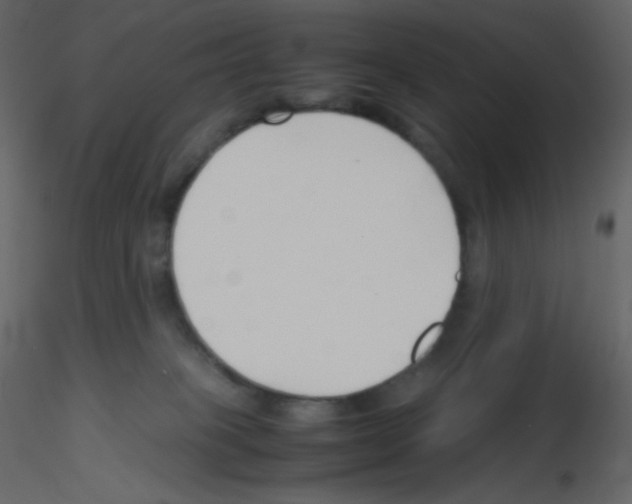 X0000115780085200912241819