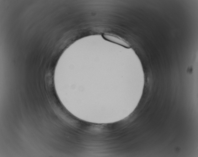 X0000115780086200912241819