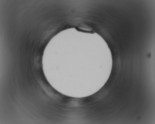 X0000115780088200912241819