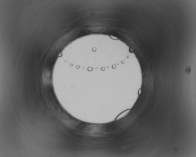 X0000115780089200912241820