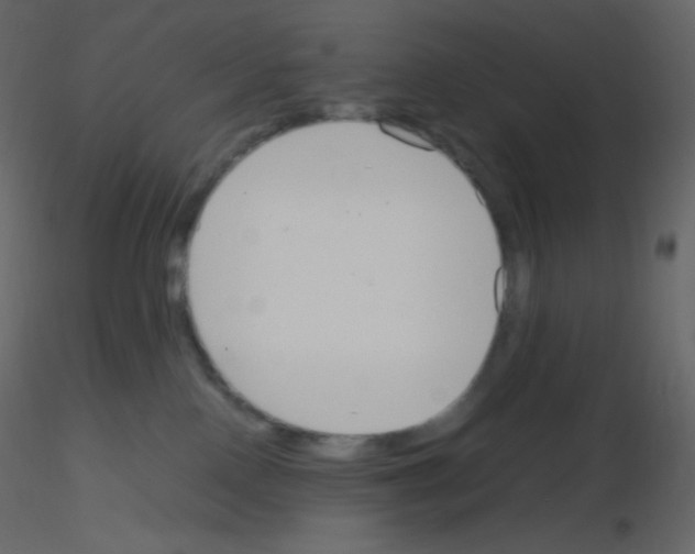 X0000115780090200912241820