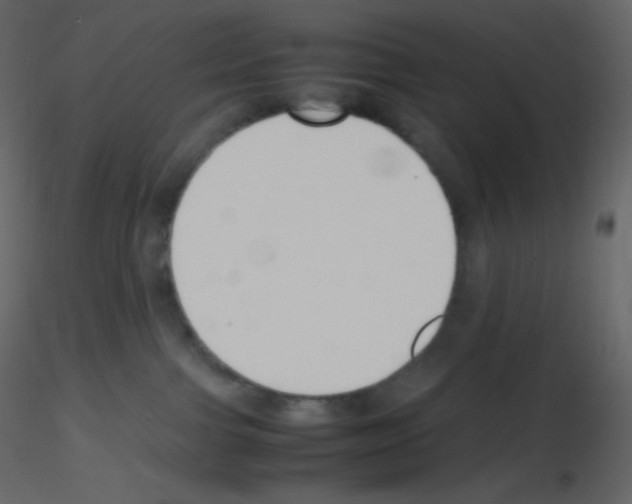 X0000115780091200912241820