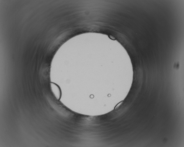 X0000115780092200912241820