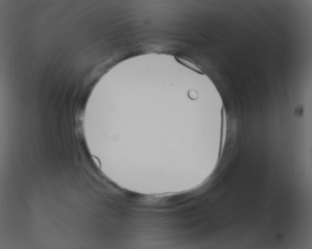 X0000115780094200912241820