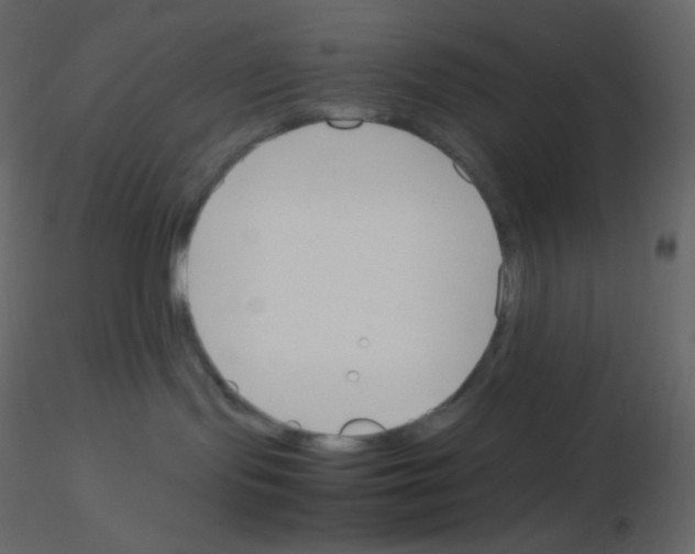 X0000115780095200912241820