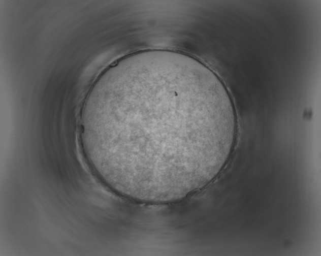 X0000115780097200912241819