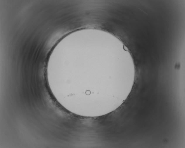 X0000115780098200912241819