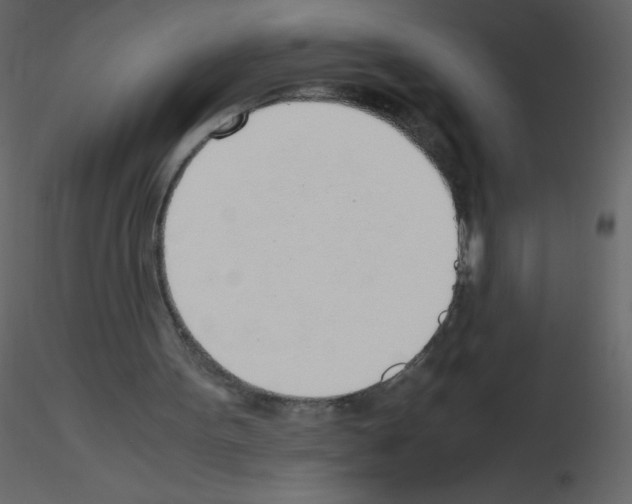 X0000115780099200912241819