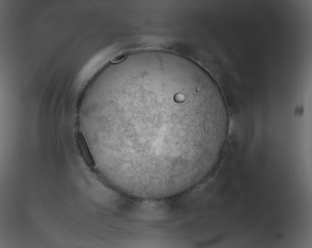 X0000115780101200912241819