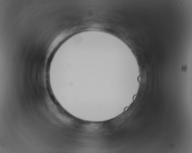 X0000115780102200912241819