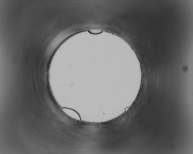 X0000115780103200912241819