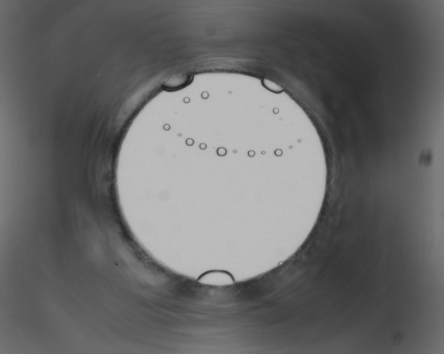 X0000115780107200912241819