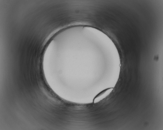 X0000115780108200912241819