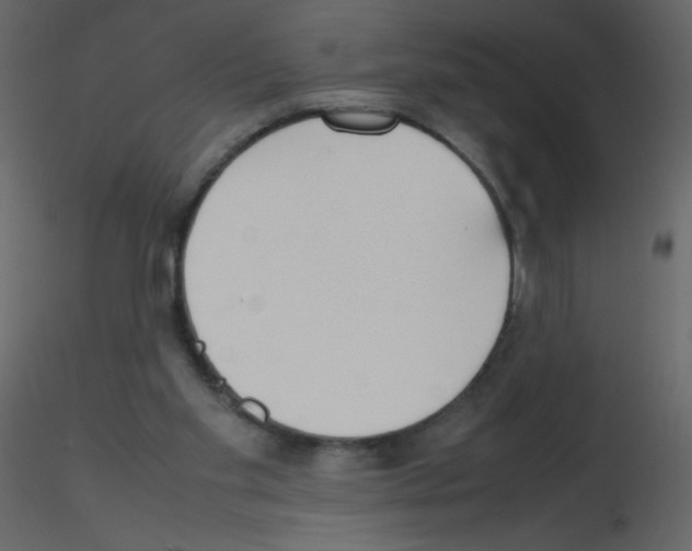 X0000115780109200912241819