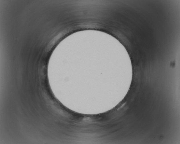 X0000115780111200912241819