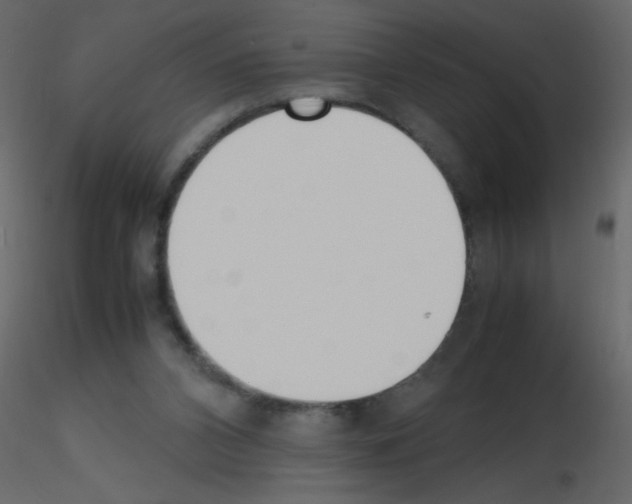 X0000115780112200912241819