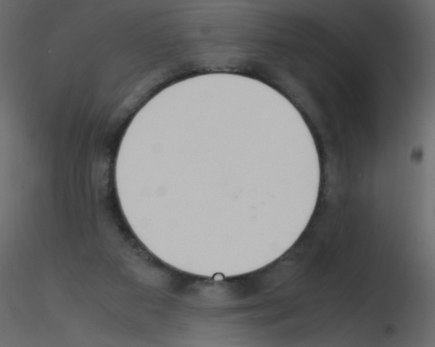 X0000115780113200912241819