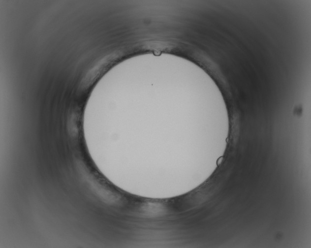 X0000115780114200912241819