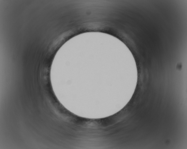 X0000115780115200912241819