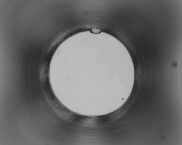 X0000115780116200912241819