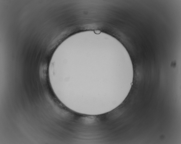 X0000115780118200912241819