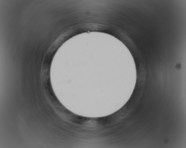 X0000115780119200912241819