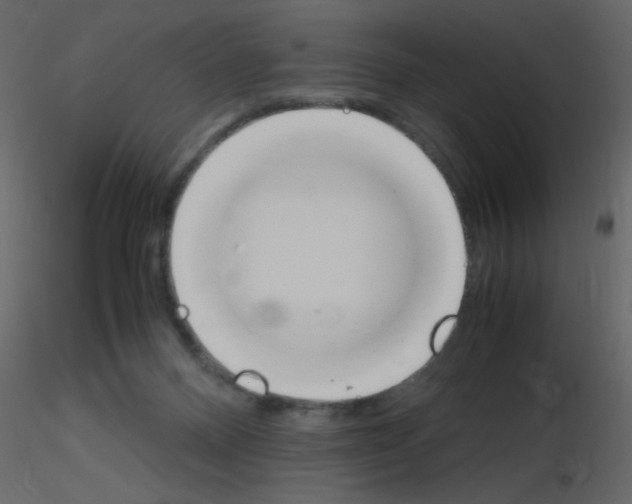 X0000115780120200912241819