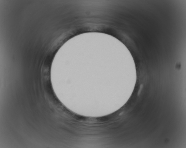 X0000115780123200912241819