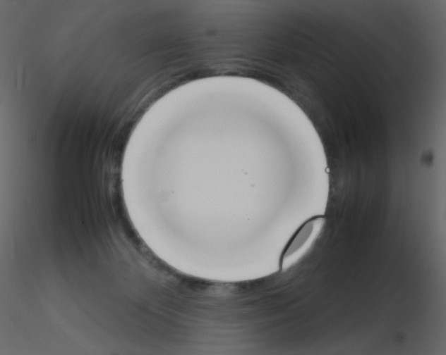 X0000115780124200912241819