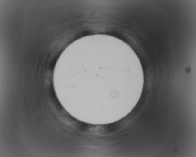 X0000115780125200912241819